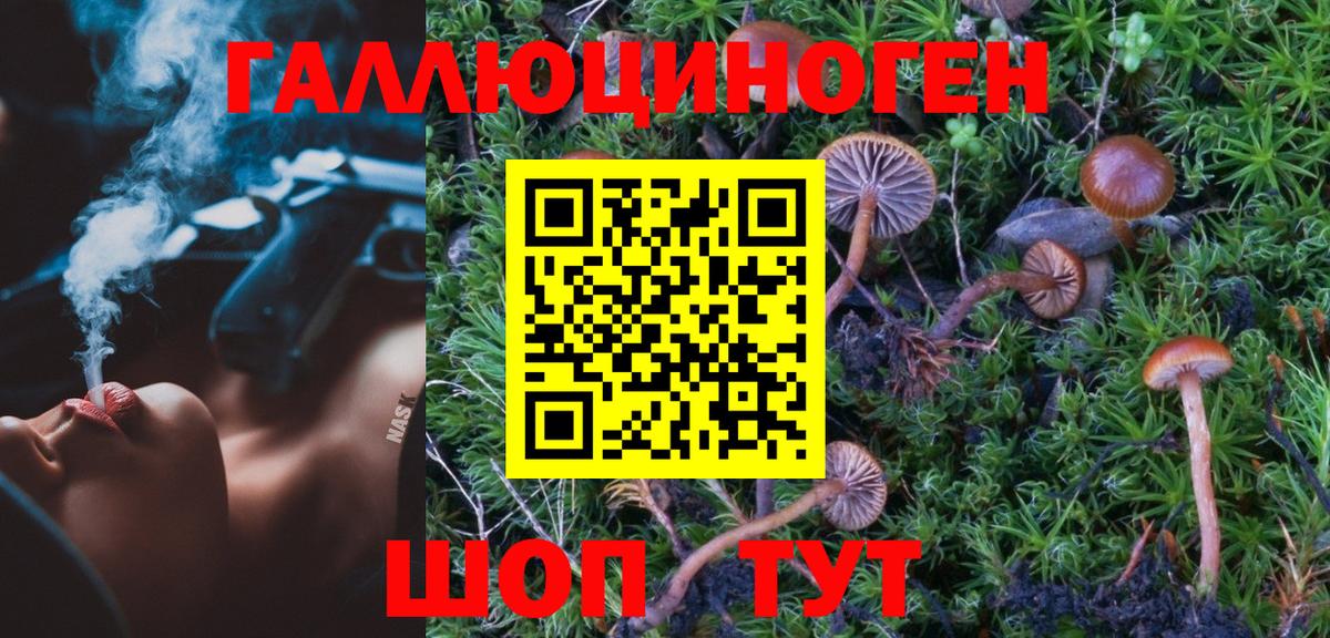 Псилоцибиновые грибы Magic Shrooms Ачинск